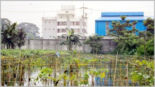বেলাবতে পানি নিষ্কাশনের ব্যবস্থা না রেখে ফ্যাক্টরি নির্মাণ: পানির নীচে ঘরবাড়িসহ শত বিঘা ফসলী জমি বেলাবতে পানি নিষ্কাশনের ব্যবস্থা না রেখে ফ্যাক্টরি নির্মাণ: পানির নীচে ঘরবাড়িসহ শত বিঘা ফসলী জমি